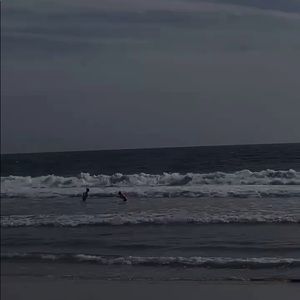 Meet your Posher, Eva